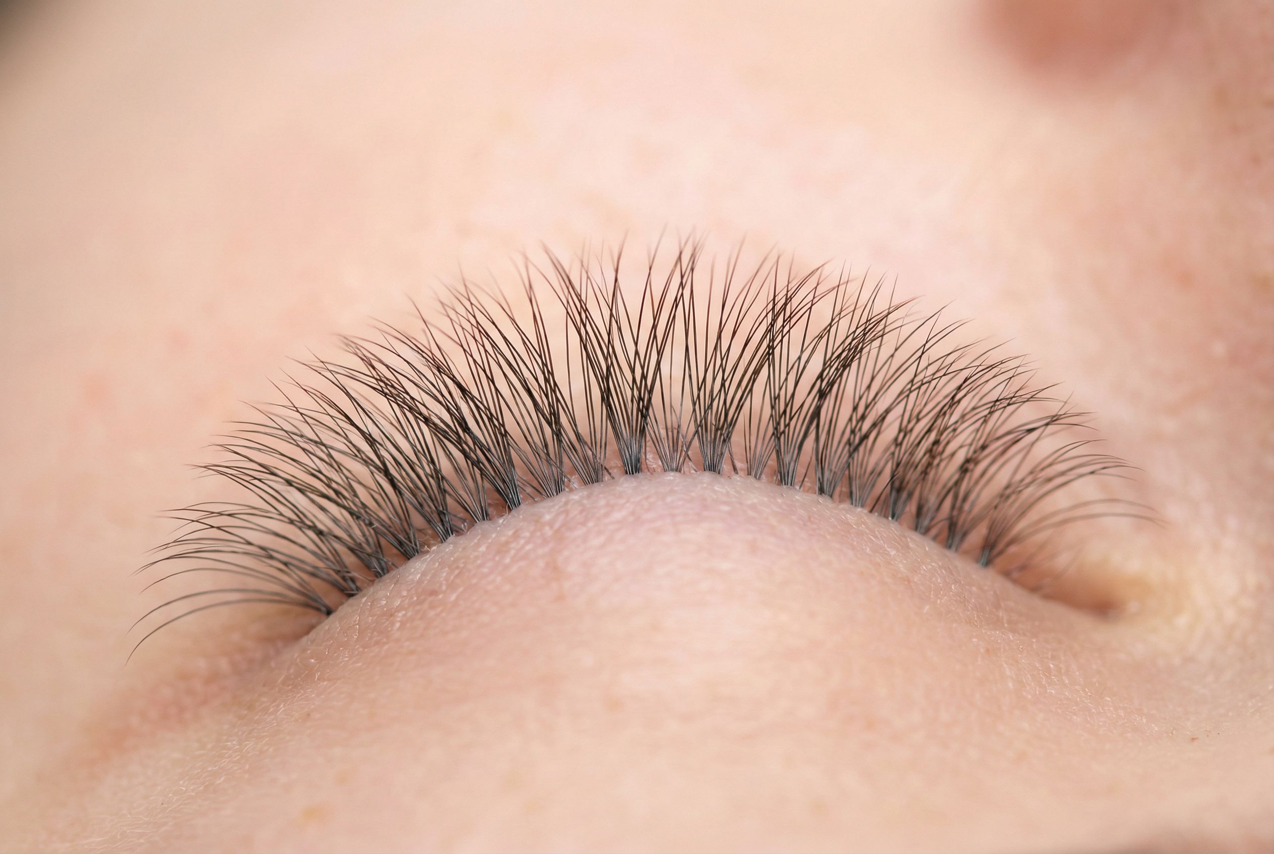 Macro close-up of volume lash extension fans showing soft, fluffy fullness