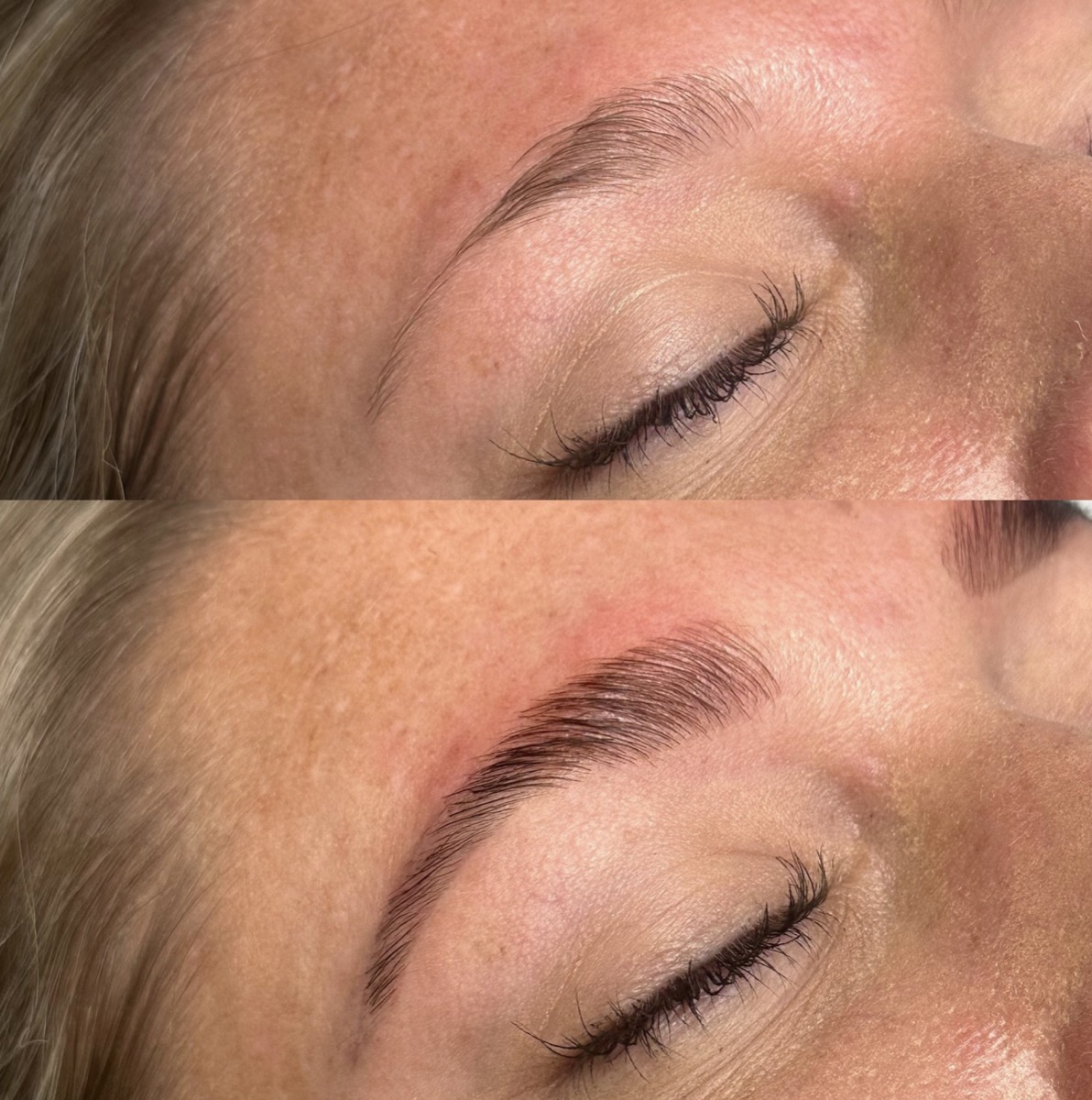 Eyebrow tinting result with enhanced brow color